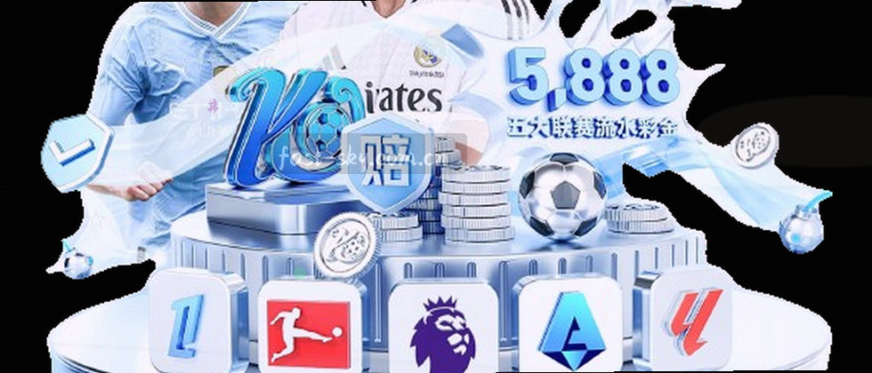 隐私护盾，数据安全
